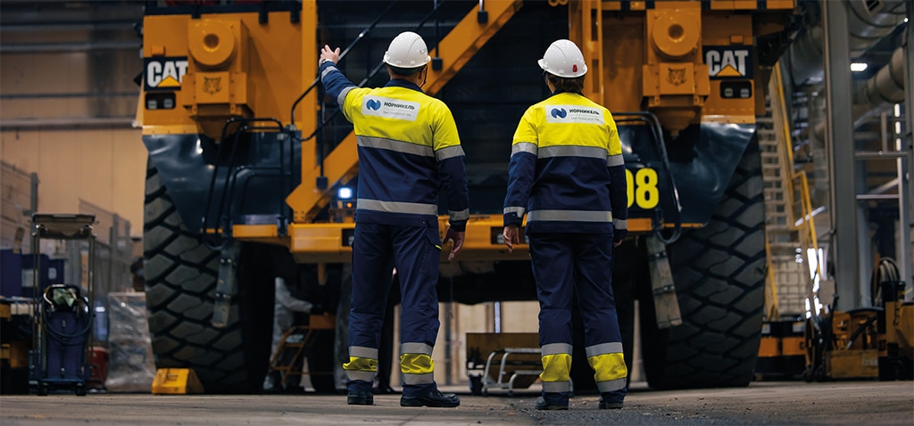 Обучение и карьера